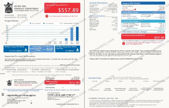 USA Detroit Water and Sewerage Department utility bill template in Word and PDF formats, 2 pages, version 3